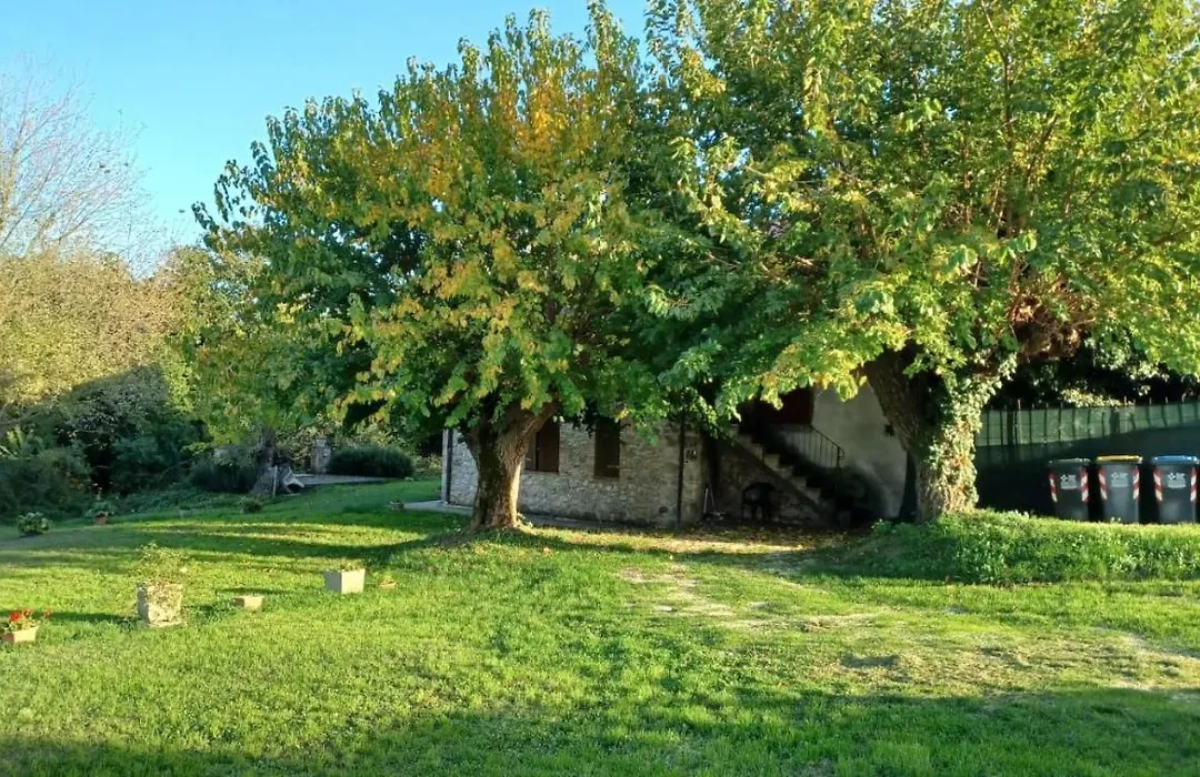 Agriturismo Canonici-1